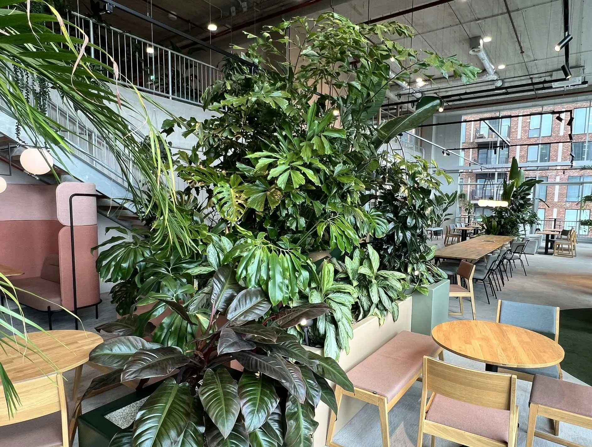 Lichte kantoorruimte met planten